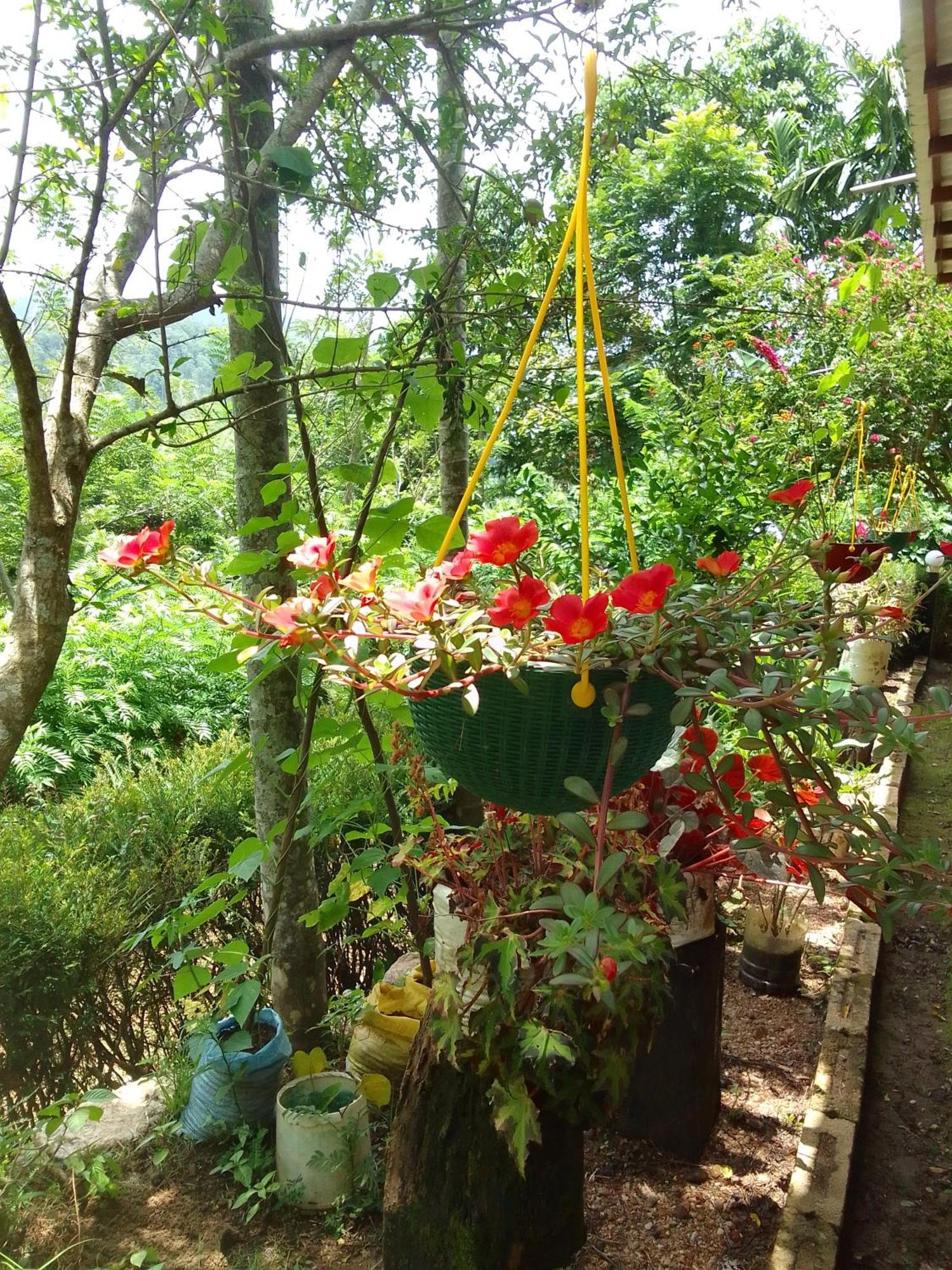 Nature'S Rest إيلا المظهر الخارجي الصورة