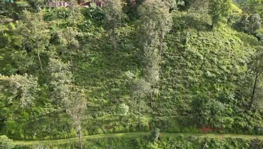 Nature'S Rest إيلا المظهر الخارجي الصورة