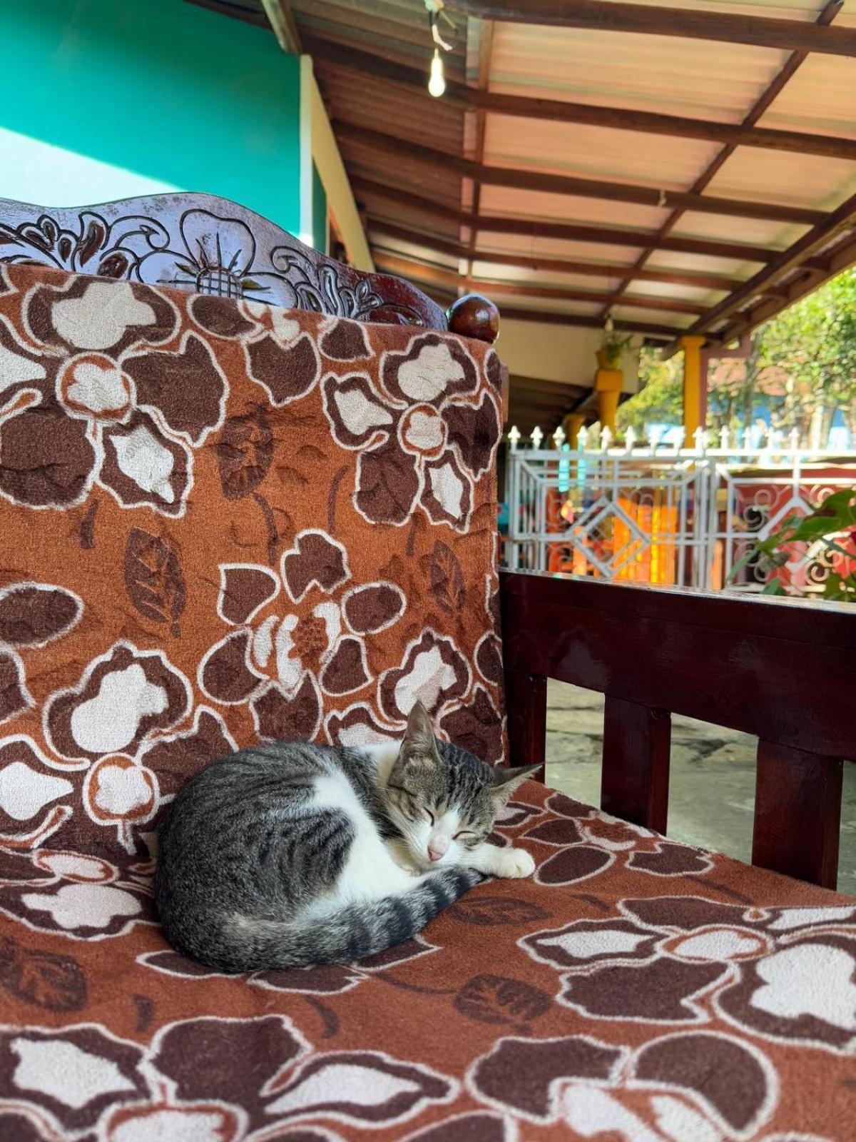 Nature'S Rest إيلا المظهر الخارجي الصورة